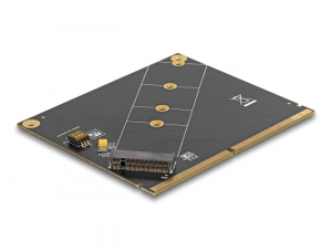 Delock MXM - M.2 NVMe M-kulcs nyíláshoz átalakító (61057)