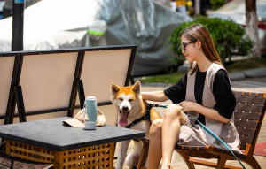 Dogness D10 kisállat utazó itató 438ml világoskék (843775118736)