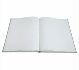 Exacompta Ellipse vend&eacute;gk&ouml;nyv 27x22cm z&ouml;ld (47982E)