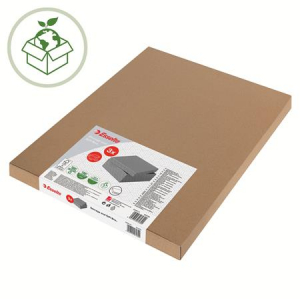 Esselte T&aacute;rol&oacute;- &eacute;s aj&aacute;nd&eacute;kdoboz,  "Home", sz&uuml;rke (E628285)