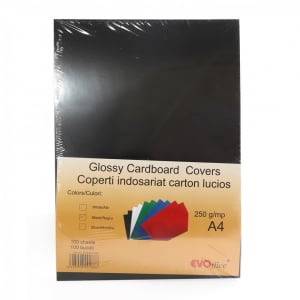 Evo H&aacute;tlap, A4, 250 g. f&eacute;nyes 100 db/csomag,  fekete (EV8B08NE)