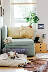 Davis Instruments Weatherlink Touch Console  Vezet&eacute;k n&eacute;lk&uuml;li időj&aacute;r&aacute;sjelző &aacute;llom&aacute;s &Eacute;rz&eacute;kelők sz&aacute;ma (max.) 80 (6313EU)