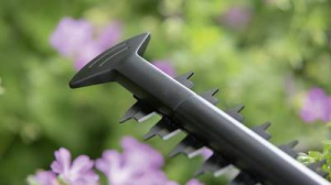 Bosch Home and Garden EasyHedgeCut 60 Elektromos S&ouml;v&eacute;nyny&iacute;r&oacute; 450 W (0600847D01)