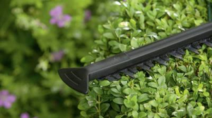 Bosch Home and Garden EasyHedgeCut 60 Elektromos S&ouml;v&eacute;nyny&iacute;r&oacute; 450 W (0600847D01)