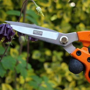 Siena Garden Kerti oll&oacute; 19 cm Bypass (CG2060)