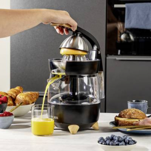 Princess Citruspr&eacute;s Pur 300 W BPA mentes Fekete (matt) (01.201862.01.001)