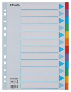 Esselte Regiszter, karton, A4, 12 részes, írható előlappal,  "Standard", színes (E100194)