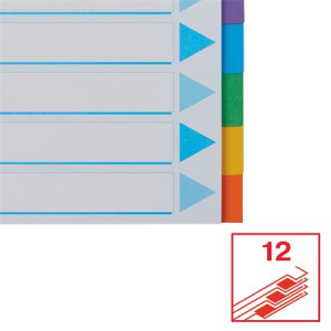 Esselte Regiszter, karton, A4, 12 részes, írható előlappal,  "Standard", színes (E100194)