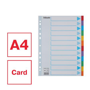 Esselte Regiszter, karton, A4, 12 részes, írható előlappal,  "Standard", színes (E100194)