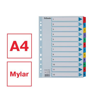 Esselte Regiszter, karton, A4, 1-12,  "Mylar" (E100162)