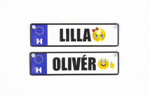 Dekor Rendsz&aacute;m Neves Mini (30RMINI)