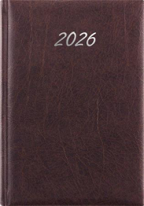 Dayliner Napt&aacute;r, tervező, A5, napi, , "Rebel", antracit (NRA5ANU)