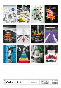 Dayliner Naptár, fali,  "Colour Art" (NFACAU)