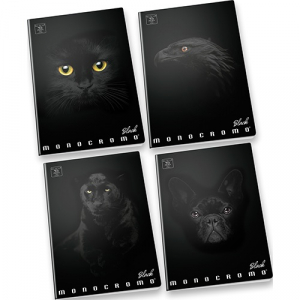 PIGNA F&uuml;zet  Monocromo Black A/4 38 lapos vonalas (02303371R)