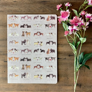 Alex Clark F&uuml;zet , vonalas, 18,5x25,5 cm, 40 oldal,Kuty&aacute;k (SNL01)