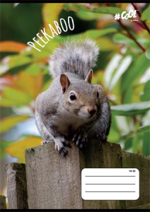 Victoria F&uuml;zet, tűz&ouml;tt, A5, vonalas, 32 lap, 2. oszt&aacute;ly, , "Peekaboo", "16-32" (ISVFC60)