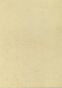 APLI Előnyomott pap&iacute;r, A4, 200 g, , havanna (LCA11960)