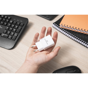 Bluestork H&aacute;l&oacute;zati t&ouml;ltő -  (USB-C, USB-A, 30W, feh&eacute;r) (PW-30-CA)