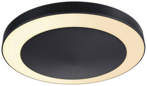 Paulmann Circula  LED-es k&uuml;lt&eacute;ri mennyezeti l&aacute;mpa 14 W Antracit (94525)