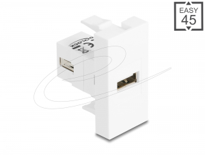 Delock Easy 45 modul USB 2.0 A-t&iacute;pus&uacute; anya - USB 2.0 A-t&iacute;pus&uacute; anya, feh&eacute;r (90908)