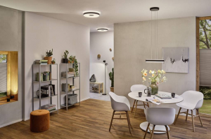 Paulmann Pane  LED-es f&uuml;ggől&aacute;mpa 11 W Fekete, Sz&uuml;rke (79779)