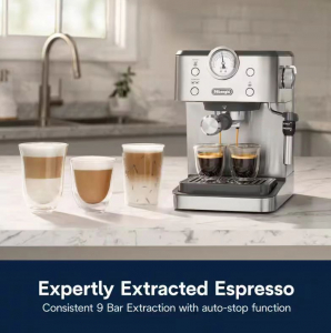 DeLonghi Linea Classic pressz&oacute; k&aacute;v&eacute;főző (EM450.M)