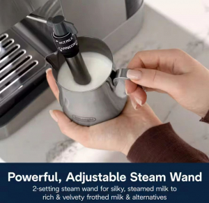 DeLonghi Linea Classic pressz&oacute; k&aacute;v&eacute;főző (EM450.M)