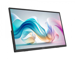 15.6" MSI PRO MP165 E6 hordozhat&oacute; monitor (9S6-3PE50M-001)