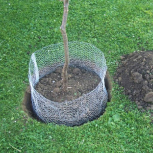 Siena Garden Vakond kos&aacute;r 1 db 60cm &aacute;tm&eacute;rőjű (P08228)