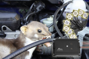 Gardigo Ultrahangos nyestriaszt&oacute; 1 db (78540INT)