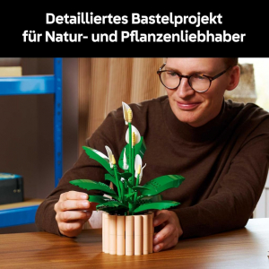 Lego Botanicals Vitorlavir&aacute;g (11504)