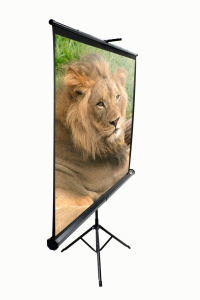 Elite Screen 120" (16:9) T120UWH Projektor Vászon Fekete Tripod