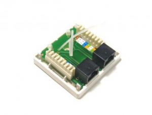 UTP fali aljzat CAT5E 2-es (RNUTA5210)
