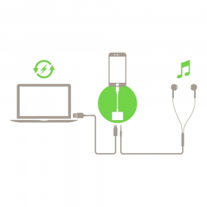 Belkin 3.5 mm Audio + Charge Rockstar adapter (F8J212btWHT)