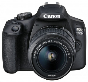 Canon EOS 2000D + EF-S 18-55mm f/3.5-5.6 IS II kit  (2728C003)