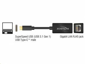 Delock 65904 USB Type-C > Gigabit LAN átalakító, kompakt, fekete