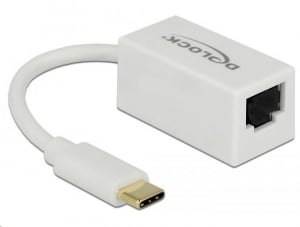 Delock USB-C > Gigabit LAN átalakító fehér (65906)