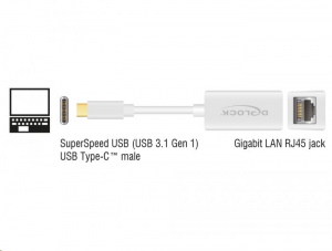 Delock USB-C > Gigabit LAN átalakító fehér (65906)