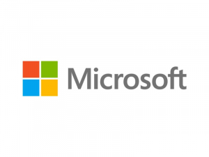 Microsoft Windows Server 2019 (16-CORE) Standard Reseller Option Kit English SW (P11058-B21)