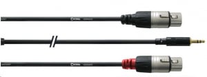 Cordial CFY 3 WFF 3.5mm Jack apa sztereo -> 2x XLR 3 pólus anya