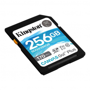 256GB SDXC Kingston Canvas Go! Plus UHS-I U3 V30  (SDG3/256GB)