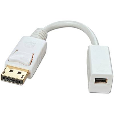 LINDY Kijelző csatlakozó / Mini DisplayPort Átalakító kábel [1x DisplayPort dugó - 1x Mini DisplayPort alj] Fehér