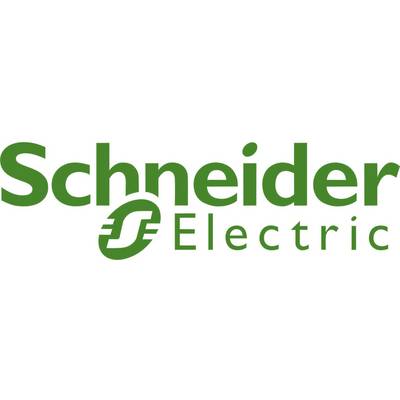 Schneider Electric 15331 Kalapsínes időkapcsoló óra Analóg 230 V