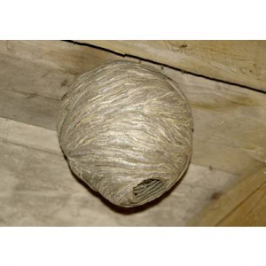 Ál darázsfészek O 200 x 280 mm 2 db Gardigo Wasp Nest Dummy 666612