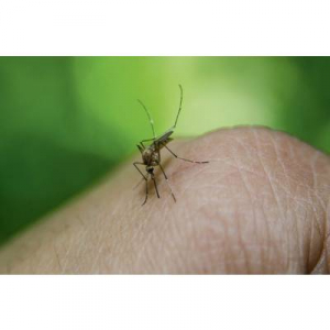 Elektromos szúnyogriasztó 65 x 65 x 68 mm fehér Gardigo Mosquito Repeller 66985