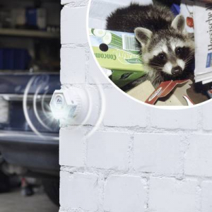 Ultrahangos állatriasztó, mosómedve- és nyestriasztó 200 m2 Gardigo Raccoon 62500