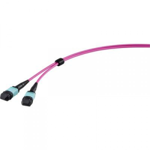 Renkforce Üvegszál LWL Csatlakozókábel [1x MPO dugó - 1x MPO alj] 50/125 µ Multimode OM4 5.00 m