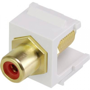Renkforce RF-KS-RCAFR RCA beépíthető modul Keystone