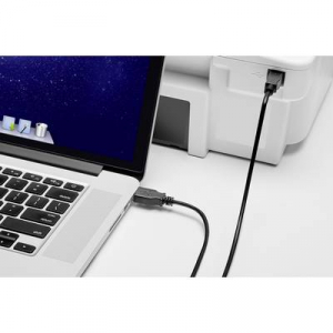 USB 2.0 csatlakozókábel, 1x USB 2.0 dugó A - 1x USB 2.0 dugó B, 0,3 m, fekete, aranyozott, renkforce