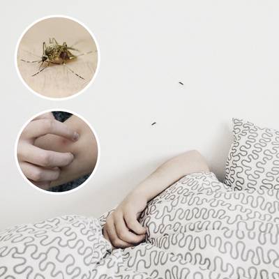 Szúnyogháló ágyhoz 200 x 220 x 200 cm Gardigo Mosquito Net 25200